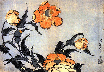 Poppies Hokusai