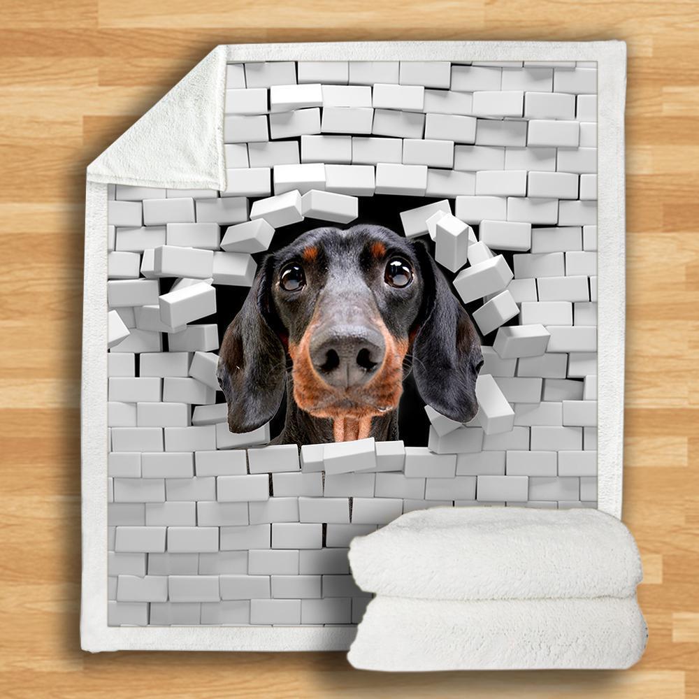 Dachshund Blanket Dachshund Blanket