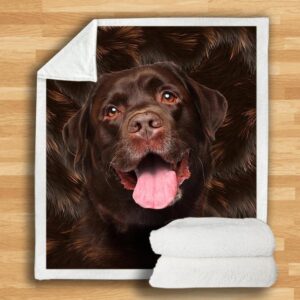 Labrador Blanket