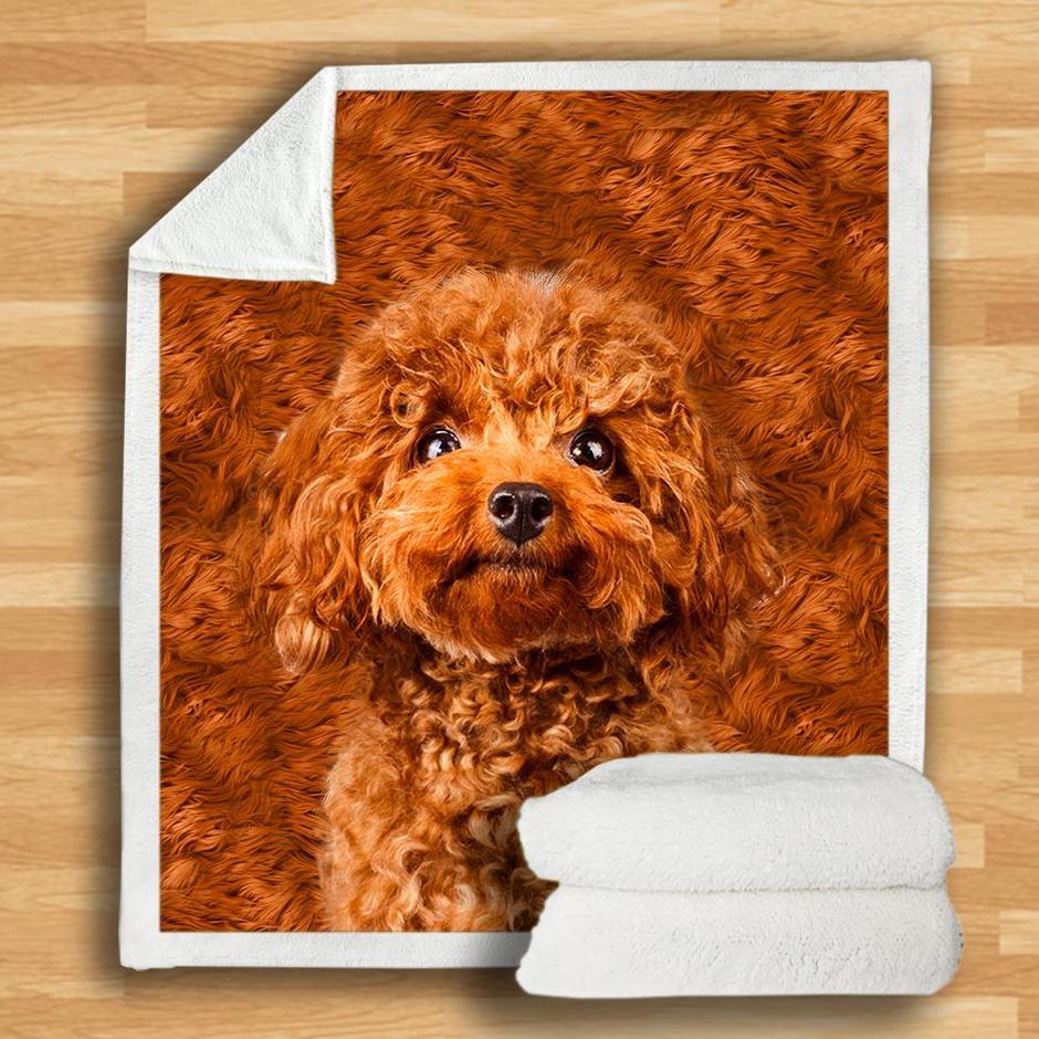 Poodle Blanket Poodle Blanket