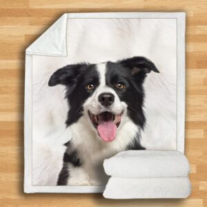 Border Collie Blanket
