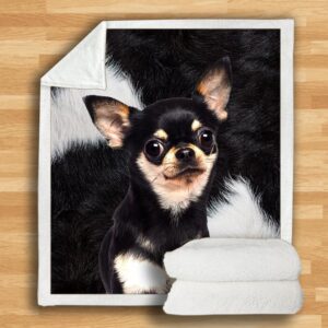 Chihuahua Blanket