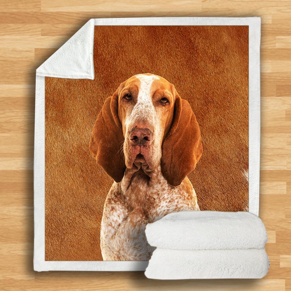 Bracco Italiano Blanket Bracco Italiano Blanket