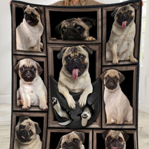 Pug Dog Picture Frames Ultra Soft Cozy Plush Fleece Blanket