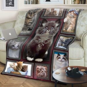 Huge Cat Blanket