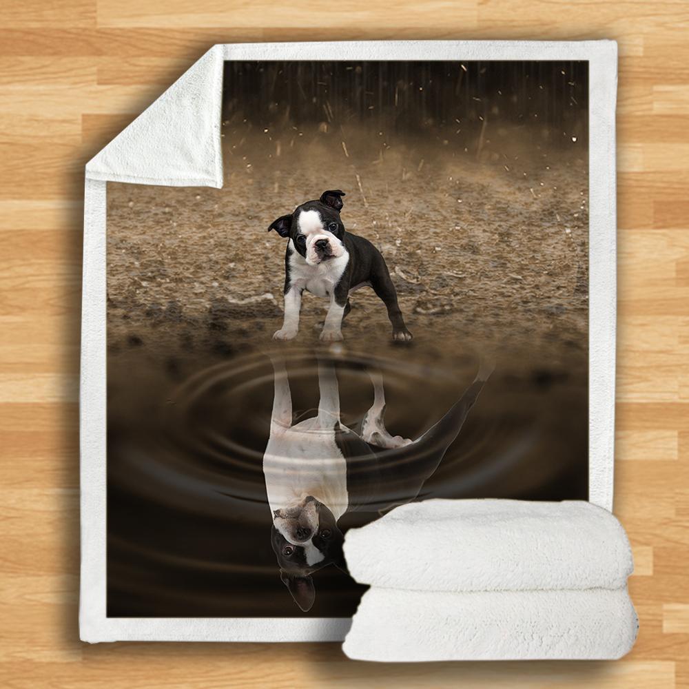 Boston Terrier Blanket Boston Terrier Blanket