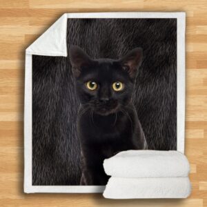 Bombay Cat Blanket