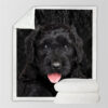Black Russian Terrier Blanket