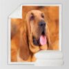 Bloodhound Blanket