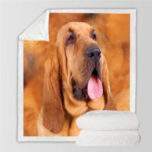 Bloodhound Blanket