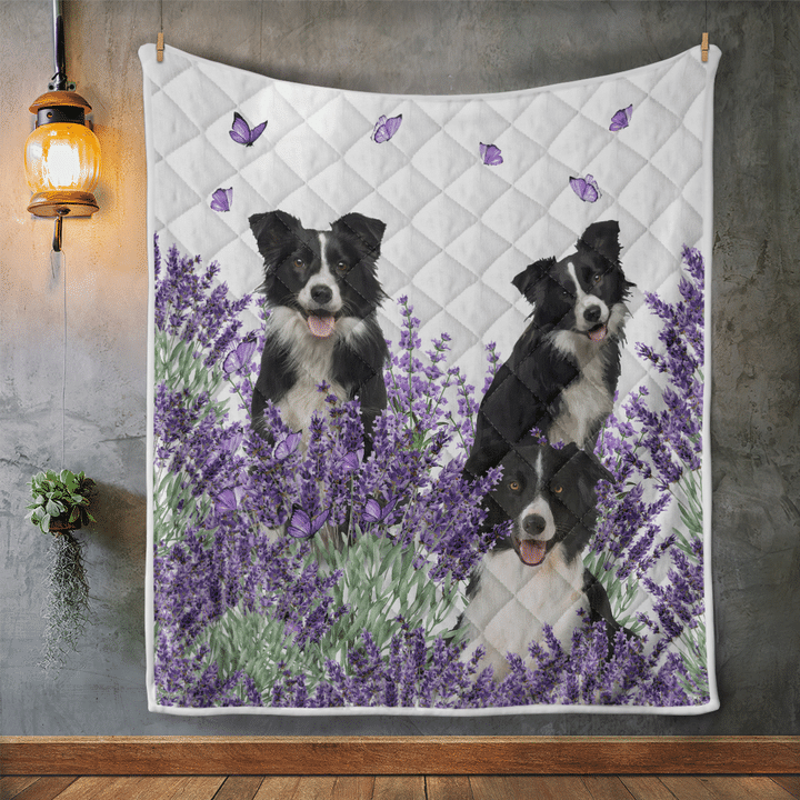 Borde-Collie-Quilt-Blanket-1