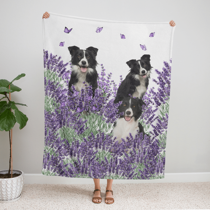 Borde-Collie-Quilt-Blanket-2
