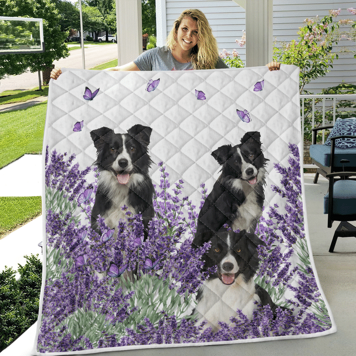 Borde-Collie-Quilt-Blanket-3