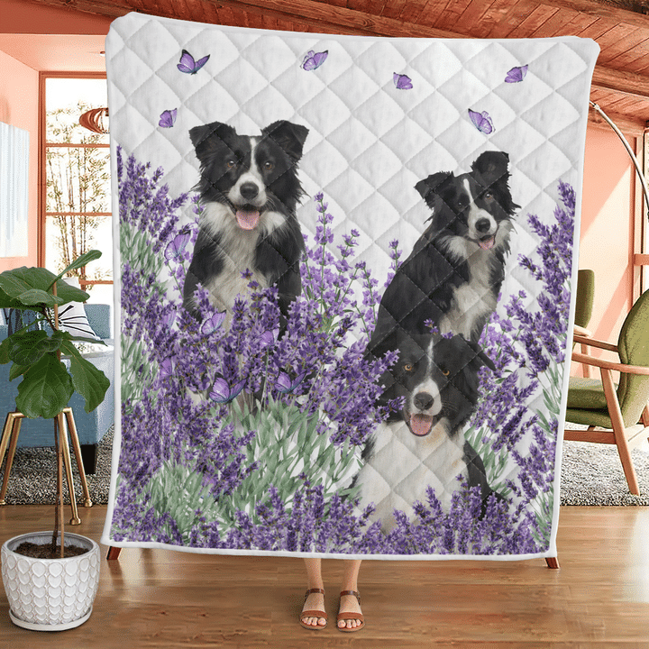 Borde-Collie-Quilt-Blanket-4