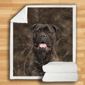 Bullmastiff Blanket