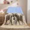 Cute Animals Soft Blanket 655