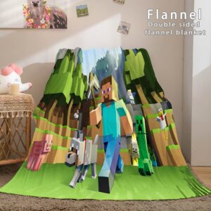 Minecraft Blanket 447