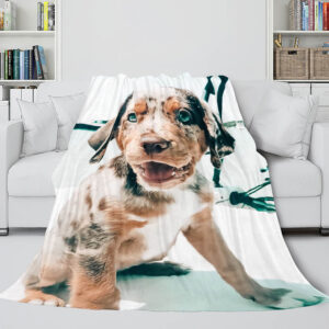 Pet Puppy Dog Blanket 999