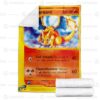Pokemon Expedition Charizard Blanket