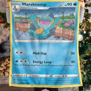 Pokemon Marshtomp Fusion Strike Blanket