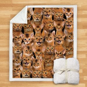 You Will Have A Bunch Of Abyssinian Cats Blanket