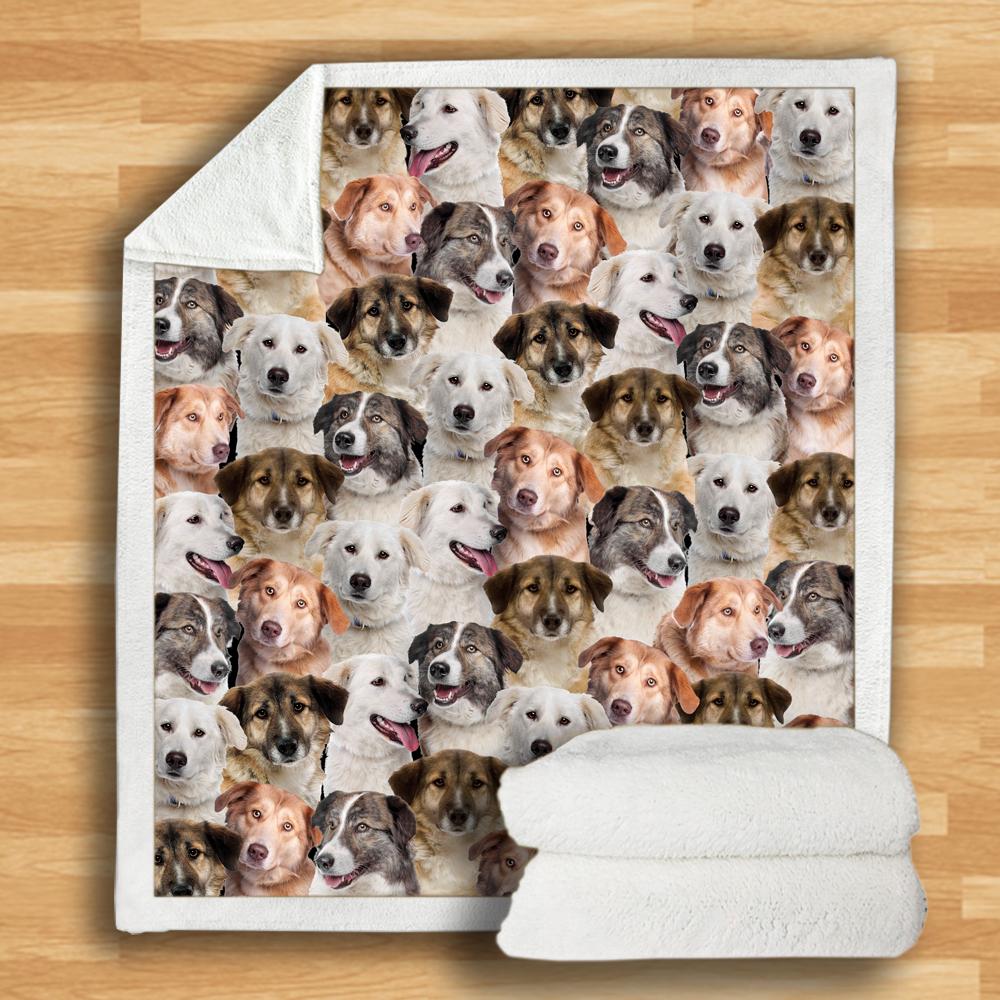You Will Have A Bunch Of Aidies Blanket You Will Have A Bunch Of Aidies Blanket