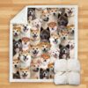 You Will Have A Bunch Of Akita Inus Blanket