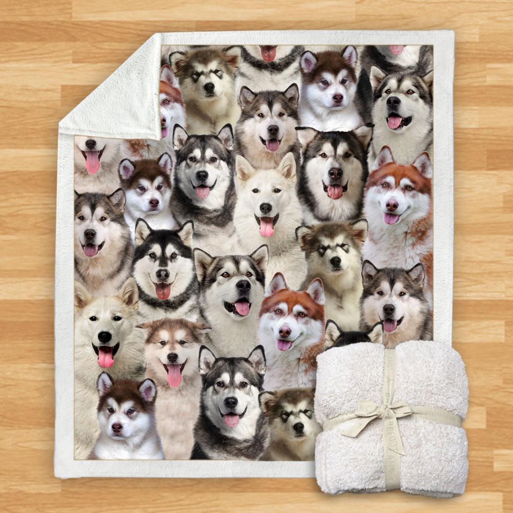 You Will Have A Bunch Of Alaskan Malamutes Blanket You Will Have A Bunch Of Alaskan Malamutes Blanket