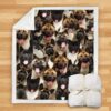 You Will Have A Bunch Of American Akitas Blanket