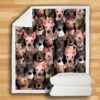 You Will Have A Bunch Of American Hairless Terriers Blanket