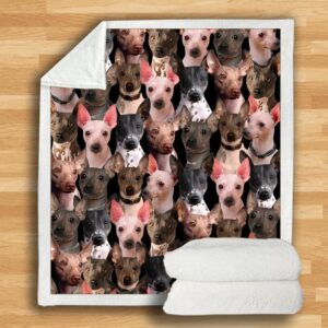 You Will Have A Bunch Of American Hairless Terriers Blanket