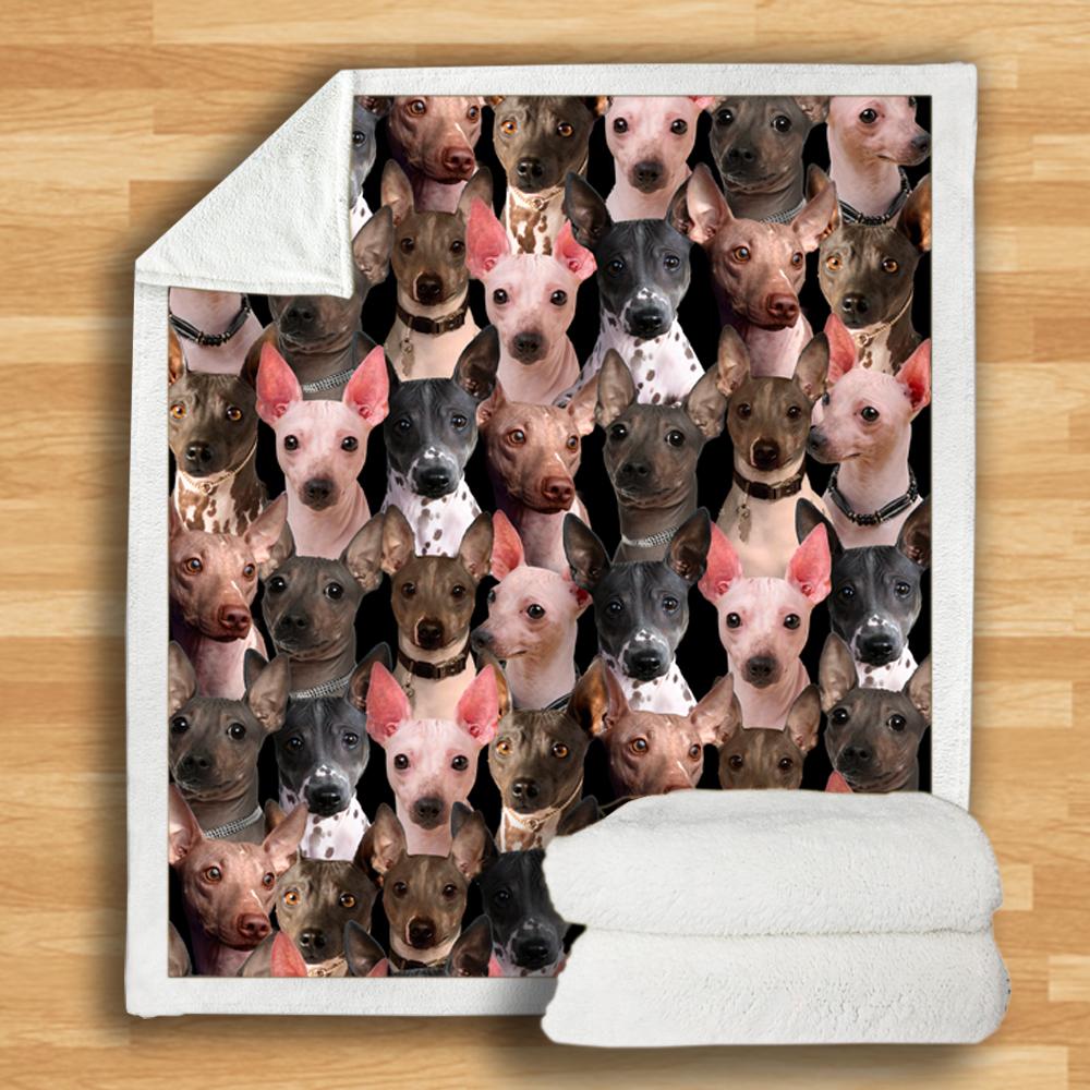 You Will Have A Bunch Of American Hairless Terriers Blanket You Will Have A Bunch Of American Hairless Terriers Blanket