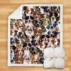 You Will Have A Bunch Of Australian Shepherds Blanket