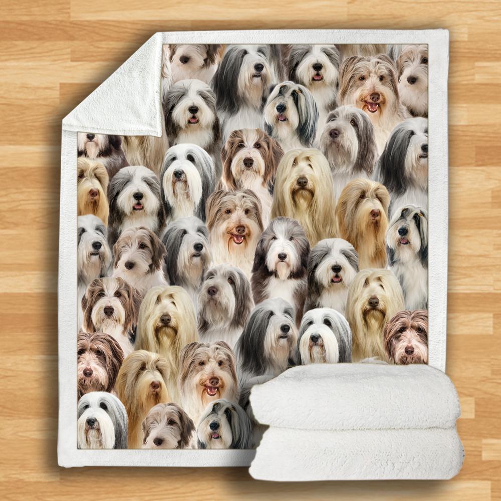 You Will Have A Bunch Of Bearded Collies Blanket You Will Have A Bunch Of Bearded Collies Blanket