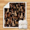 You Will Have A Bunch Of Bengal Cats Blanket