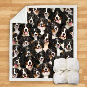 You Will Have A Bunch Of Bernese Mountains Blanket
