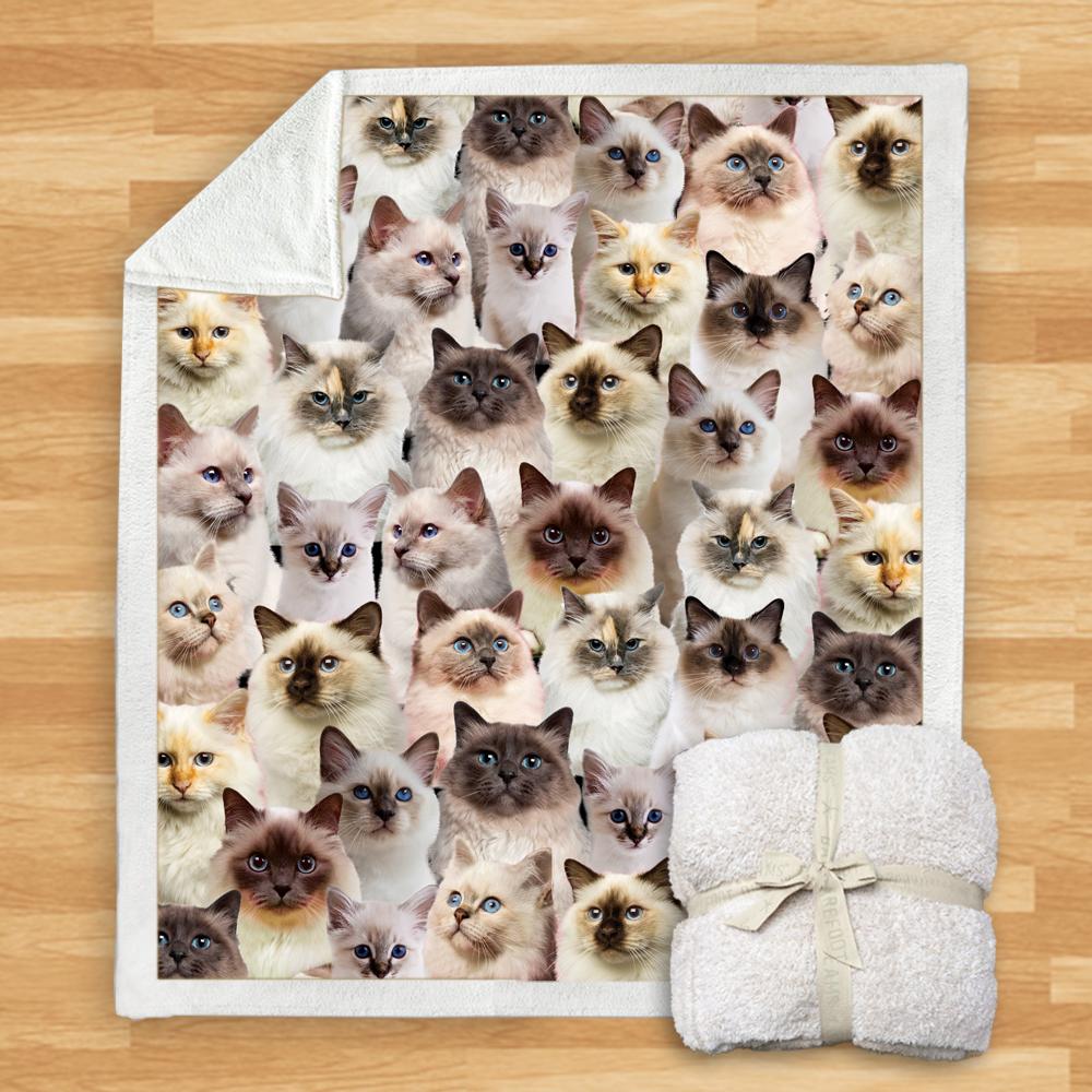 You Will Have A Bunch Of Birman Cats Blanket You Will Have A Bunch Of Birman Cats Blanket