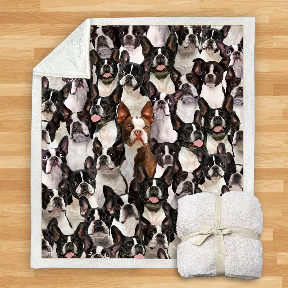 You Will Have A Bunch Of Boston Terriers Blanket You Will Have A Bunch Of Boston Terriers Blanket