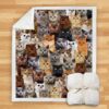 You Will Have A Bunch Of British Shorthair Cats Blanket