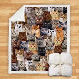 You Will Have A Bunch Of British Shorthair Cats Blanket