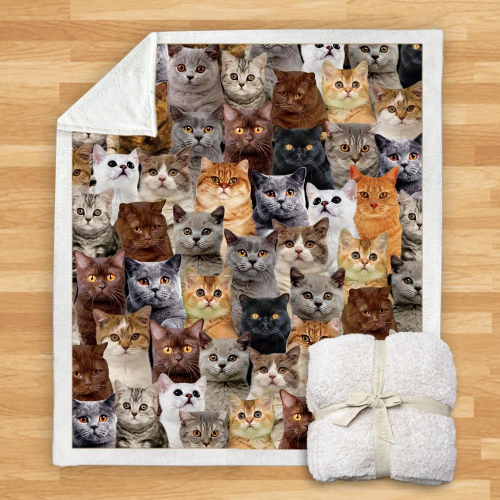 You Will Have A Bunch Of British Shorthair Cats Blanket You Will Have A Bunch Of British Shorthair Cats Blanket