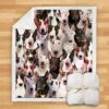 You Will Have A Bunch Of Bull Terriers Blanket