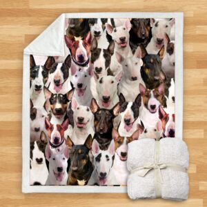 You Will Have A Bunch Of Bull Terriers Blanket