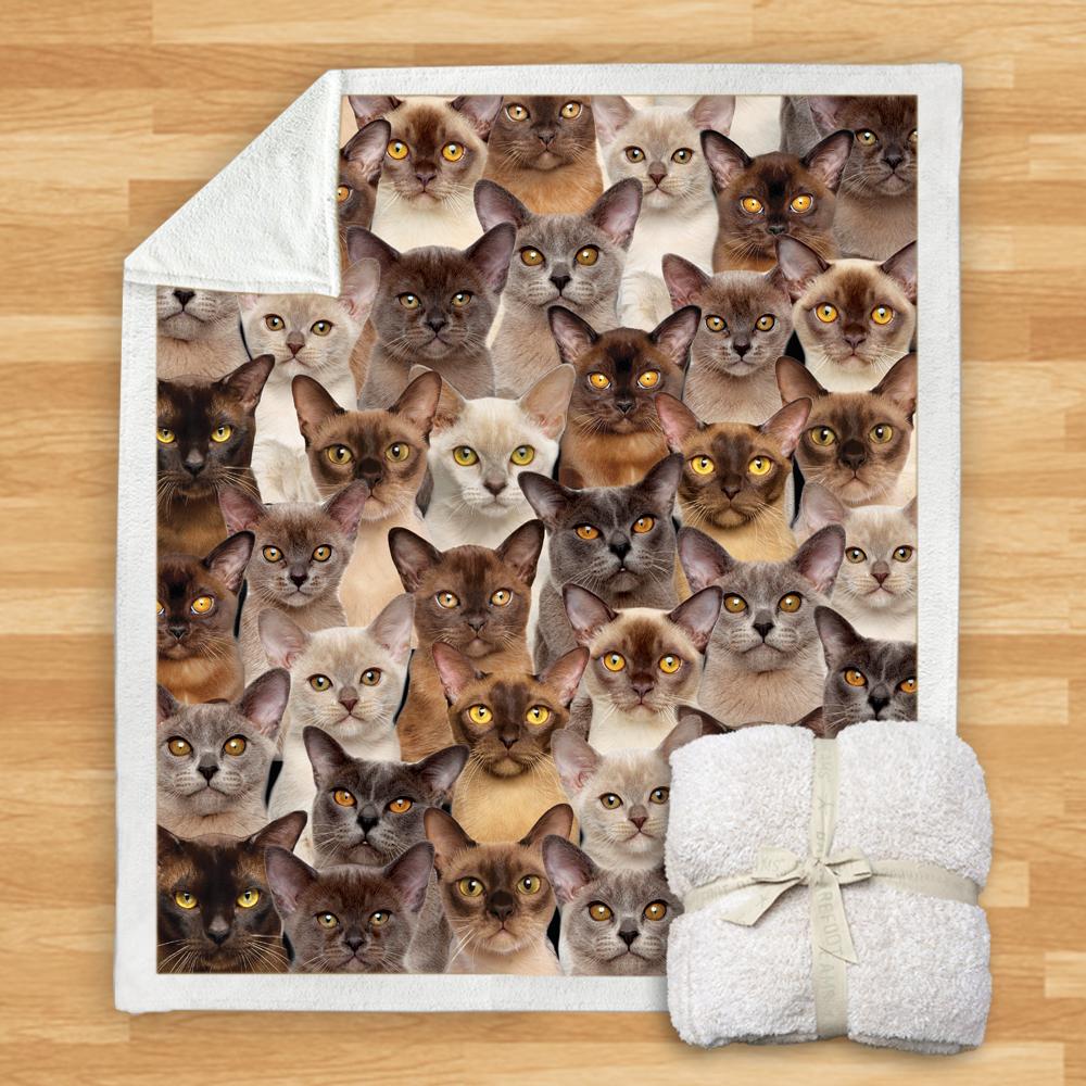 You Will Have A Bunch Of Burmese Cats Blanket You Will Have A Bunch Of Burmese Cats Blanket