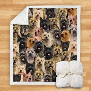 You Will Have A Bunch Of Cairn Terriers Blanket