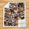 You Will Have A Bunch Of Chihuahuas Blanket