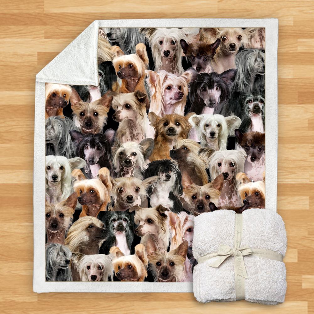 You Will Have A Bunch Of Chinese Cresteds Blanket You Will Have A Bunch Of Chinese Cresteds Blanket