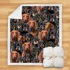 You Will Have A Bunch Of Dachshunds Blanket