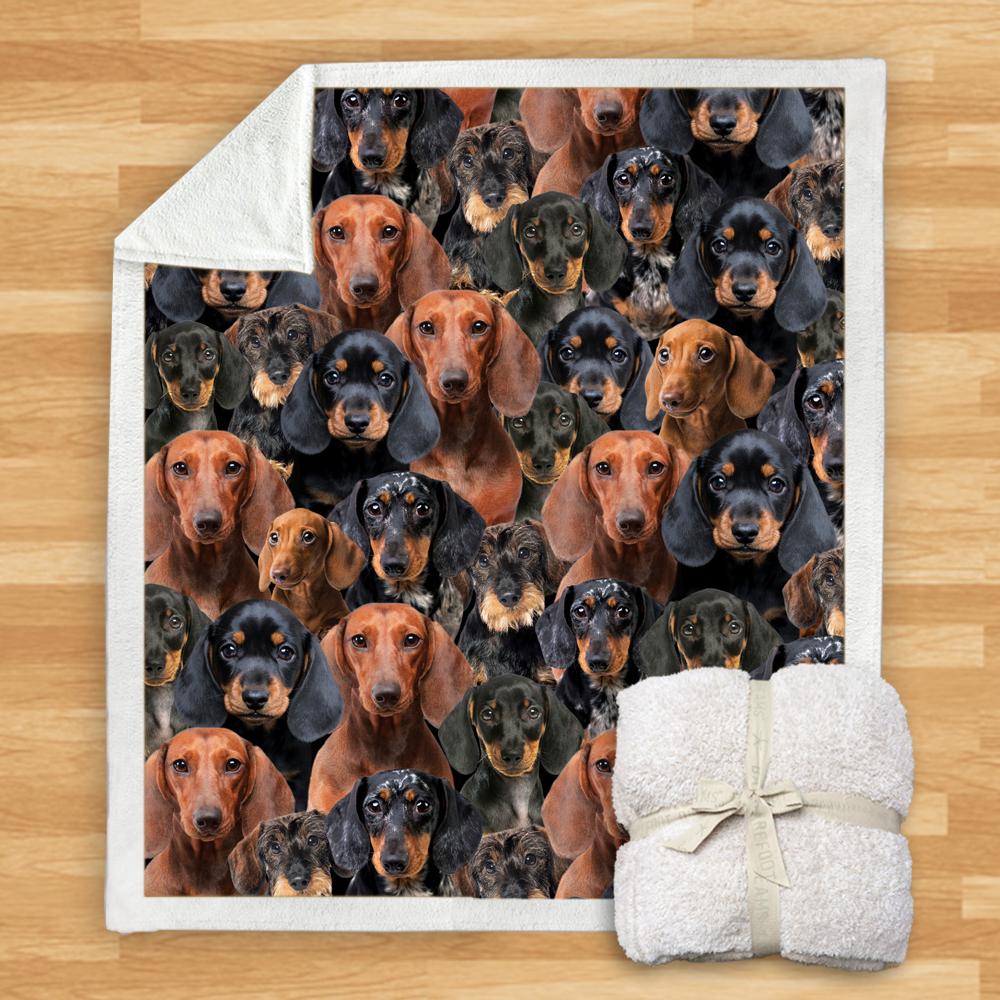You Will Have A Bunch Of Dachshunds Blanket You Will Have A Bunch Of Dachshunds Blanket