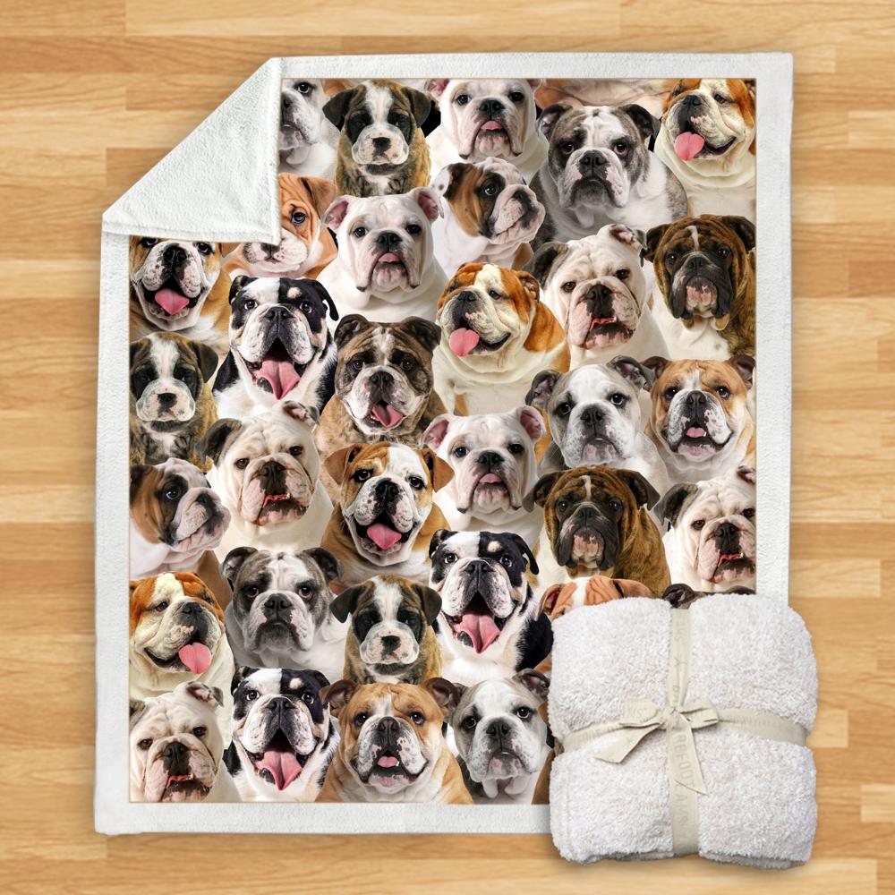 You Will Have A Bunch Of English Bulldogs Blanket You Will Have A Bunch Of English Bulldogs Blanket